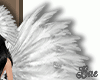 Be Carnaval Feathers