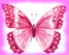 LMM.Pink Butterfly Anime