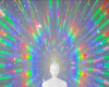 Anim. Holo BG