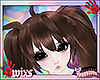 miku - cocoa cutie
