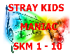 Stray Kids - Maniac