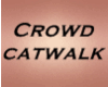 Pict crowd catw