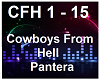 Cowboys From Hell-Panter
