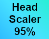 Head scaler 95%
