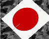 ~Japan Hand Held Flag