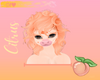 SAe Citrus Hair V2