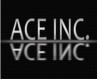 [A] Ace Inc.
