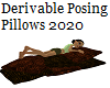 Derv Posing Pillows 2020