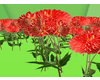 Red flower field anim