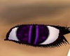 Purple Male Reptile Eyes
