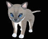 !Katrina Pet Kitten
