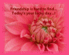 Friendship Flower