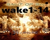 TheAwakening-SaintOfSins