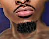 O_ ASTERI CLEAN GOATEE