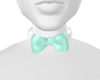Your Teal Bunny Collar