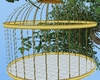 Lets Build Asuna Cage