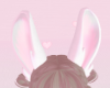 White Pink Bunny Ears