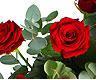 Red Roses For Lovers