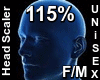 F/M Head Scaler 115%