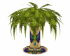 Egyptian Plant