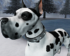 Great Dane  v2