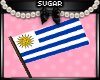Uruguay Flag (M&F)