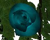 teal vine