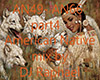 *RF*DJRaph-AmericNat p4