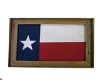 TEXAS FLAG PICTURE