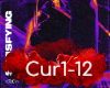 Satisfying-Curbi rmx