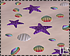 Pride Beach SeaShells