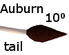 Auburn 10 degree Tail