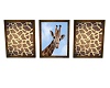 CUTE!! Giraffe Picture