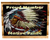 pic native american 2