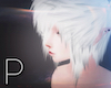 :PCT: Lezy Lucent