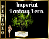Imperial Fantasy Fern
