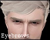 Eyebrows Grey 2.0