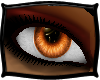 (FXD) Intricat Eyes Halo