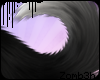 z | Pup Tail - Oreo
