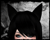 [SS] Fox - Black Ears