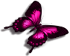 {R} pink butterfly small