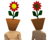 Flower Pot Head (m)