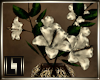 !LL! White Hibiscus Vase