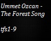 Ummet Ozcan - The Forest