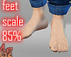 [G] feet Scale85%