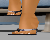 ʀ. pucci