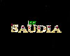 saudia sticker