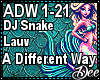 DJ Snake:A Different Way