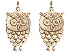 Owl Earrings