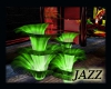 Jazzie-Illuminated plant